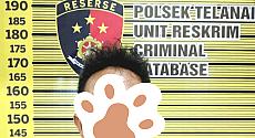 Ist