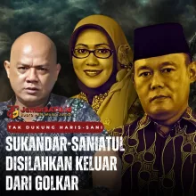 Ilustrasi Jambi Link