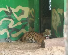 IST