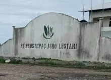IST