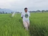 IST